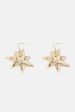 Love Star Gold Earrings Hot on Sale